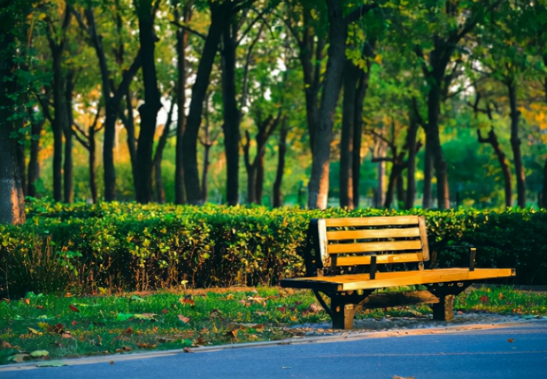 什么脱发用米诺和非那雄胺效果快,男性脱发用米诺地尔女性用什么