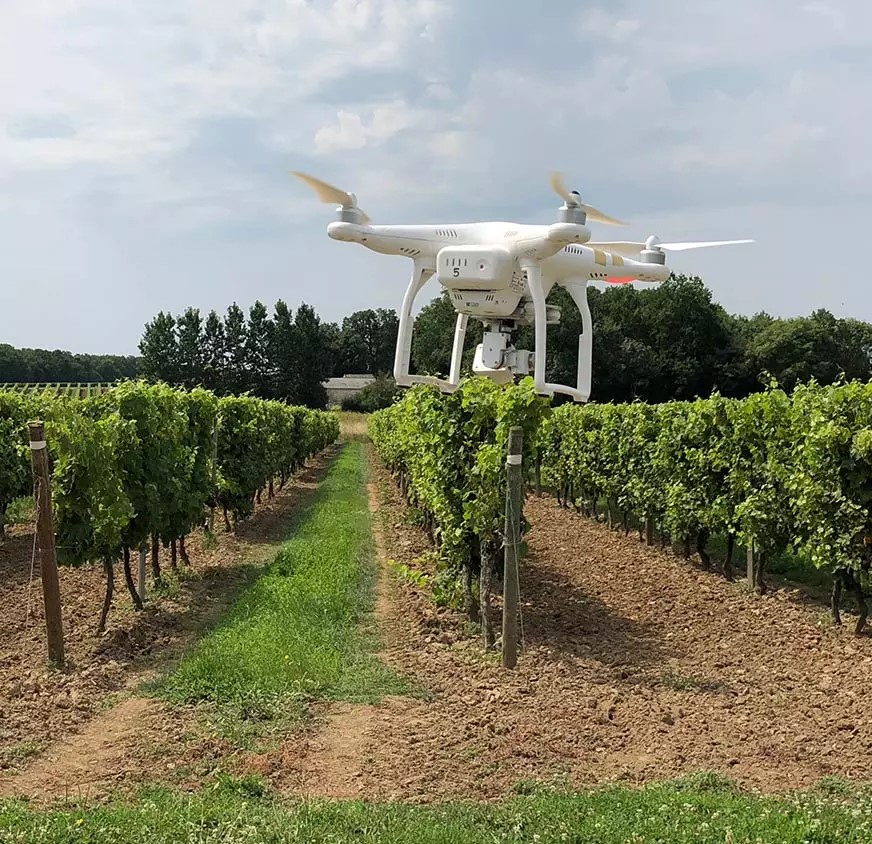 上海米其林三星,上海米其林餐厅2021完整榜单