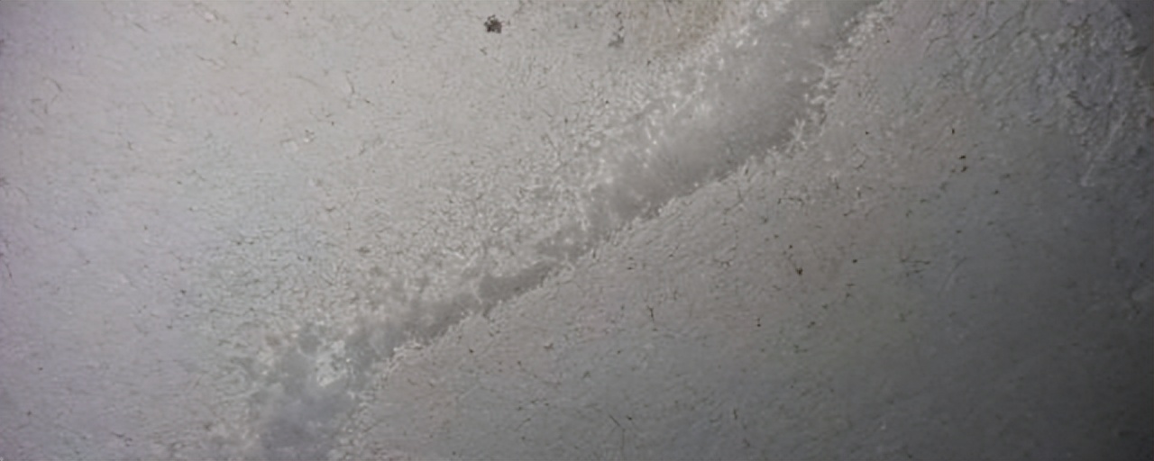 墙壁长白毛最有效的处理方法,墙上长白毛怎么处理