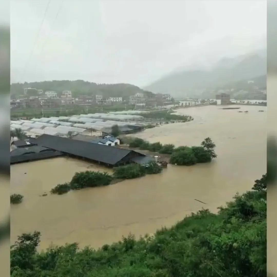 湖南女子投资180万开农庄日入2位数,如今靠柴火鸡年销售额1000万