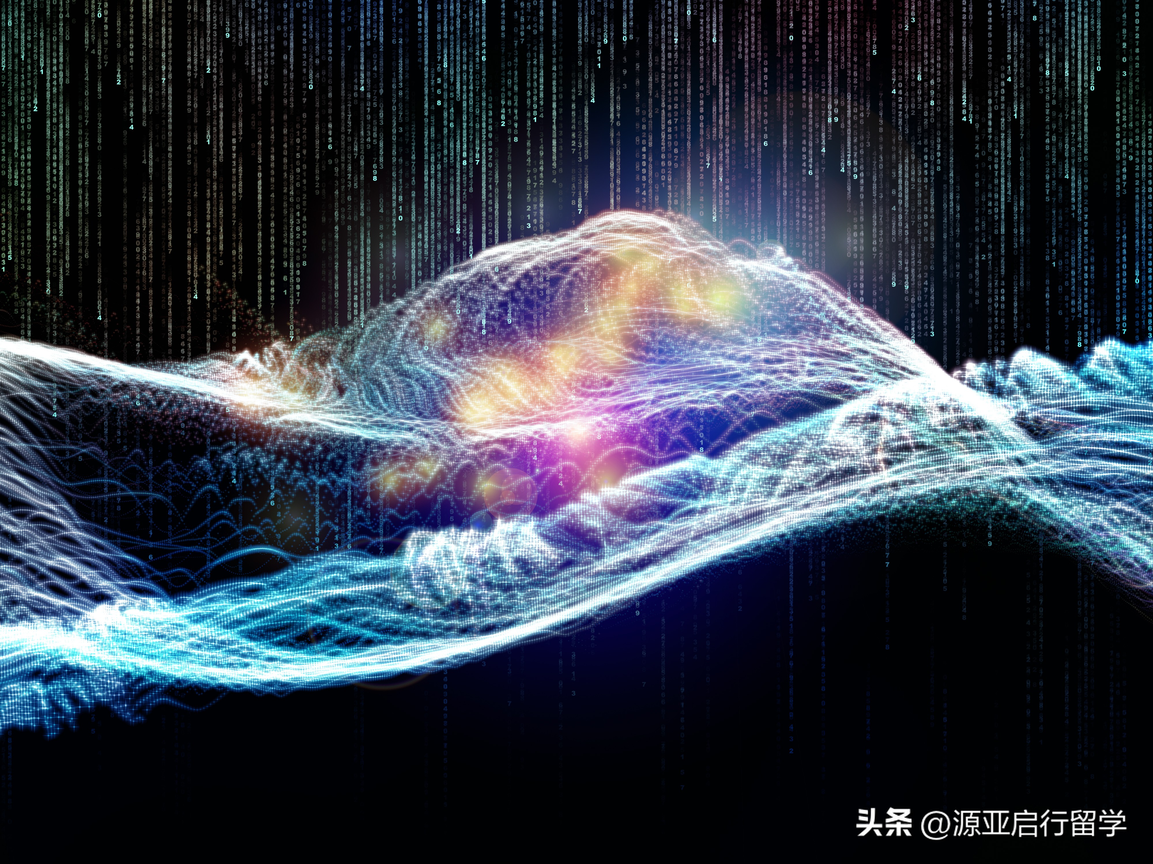 文科硕士跨考计算机博士,文科跨专业申请国外硕士