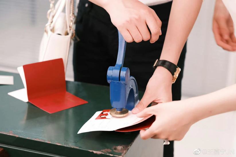 央视主持人王嘉宁的婚姻状况,主持人王嘉宁什么时候结婚的