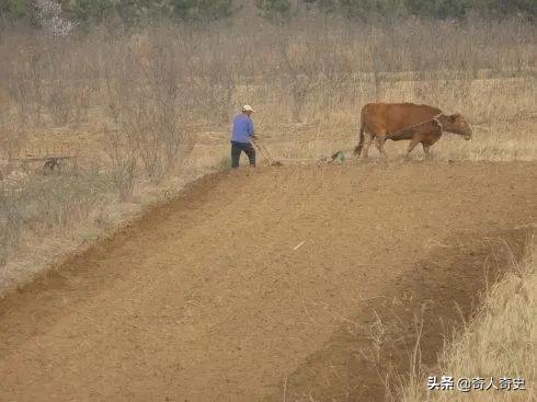 骂人会被刑拘吗,女子骂人9年后被判刑后续