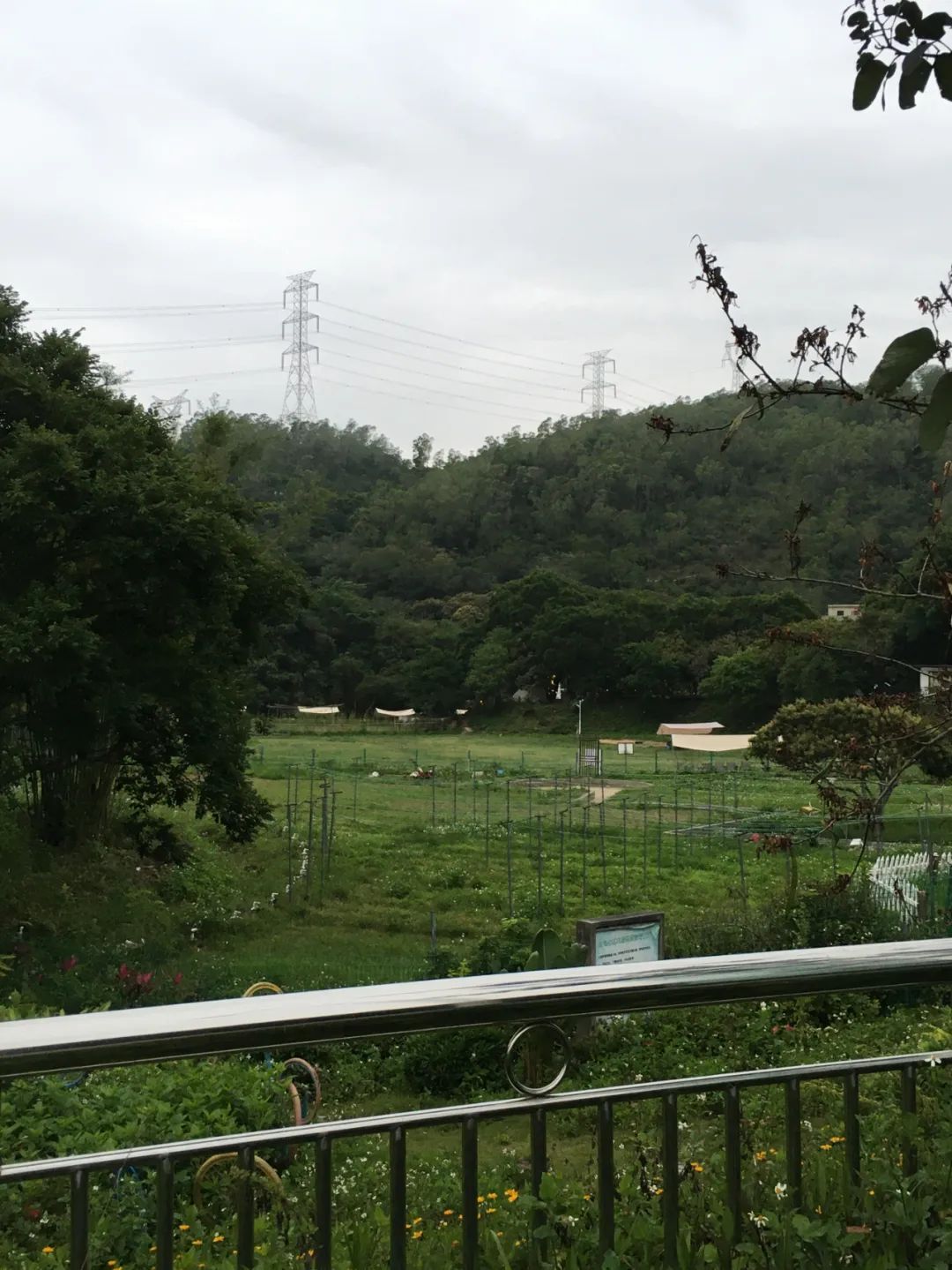 旭光车行雅迪电动车,旭光单车