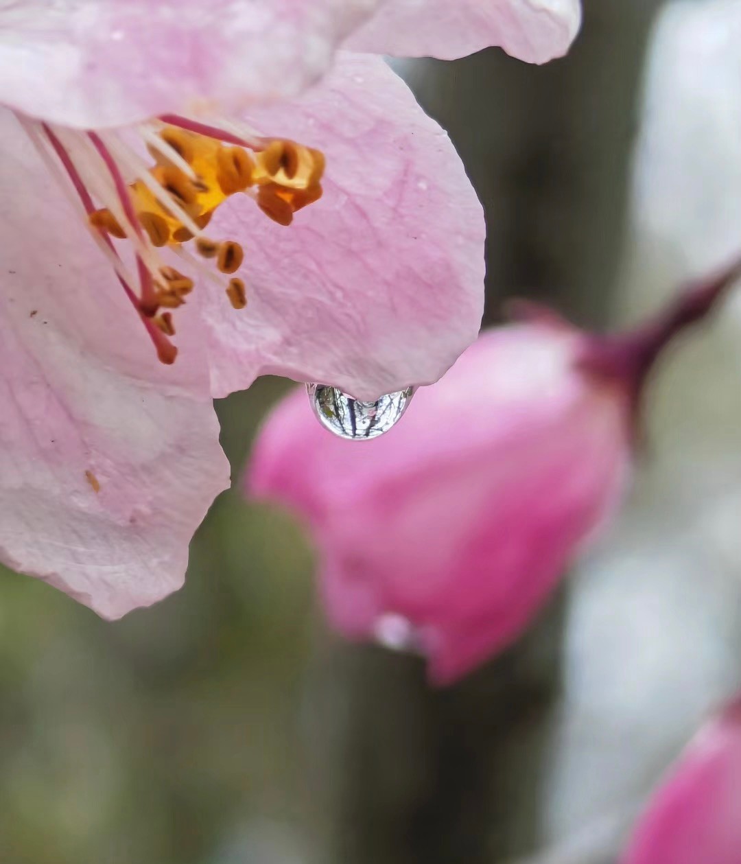各个品牌旗舰机测评,各品牌旗舰机测评
