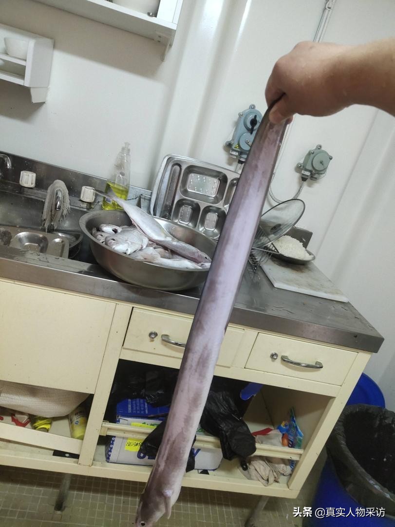 我，90后海员，航行5万海里，下船后回家乡放羊，赚得比海员多