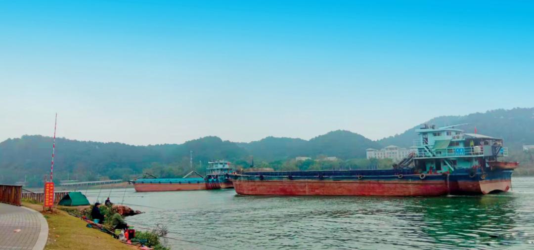 野钓有杂草鲫鱼打窝最佳配方,浮钓打窝怎么诱鱼