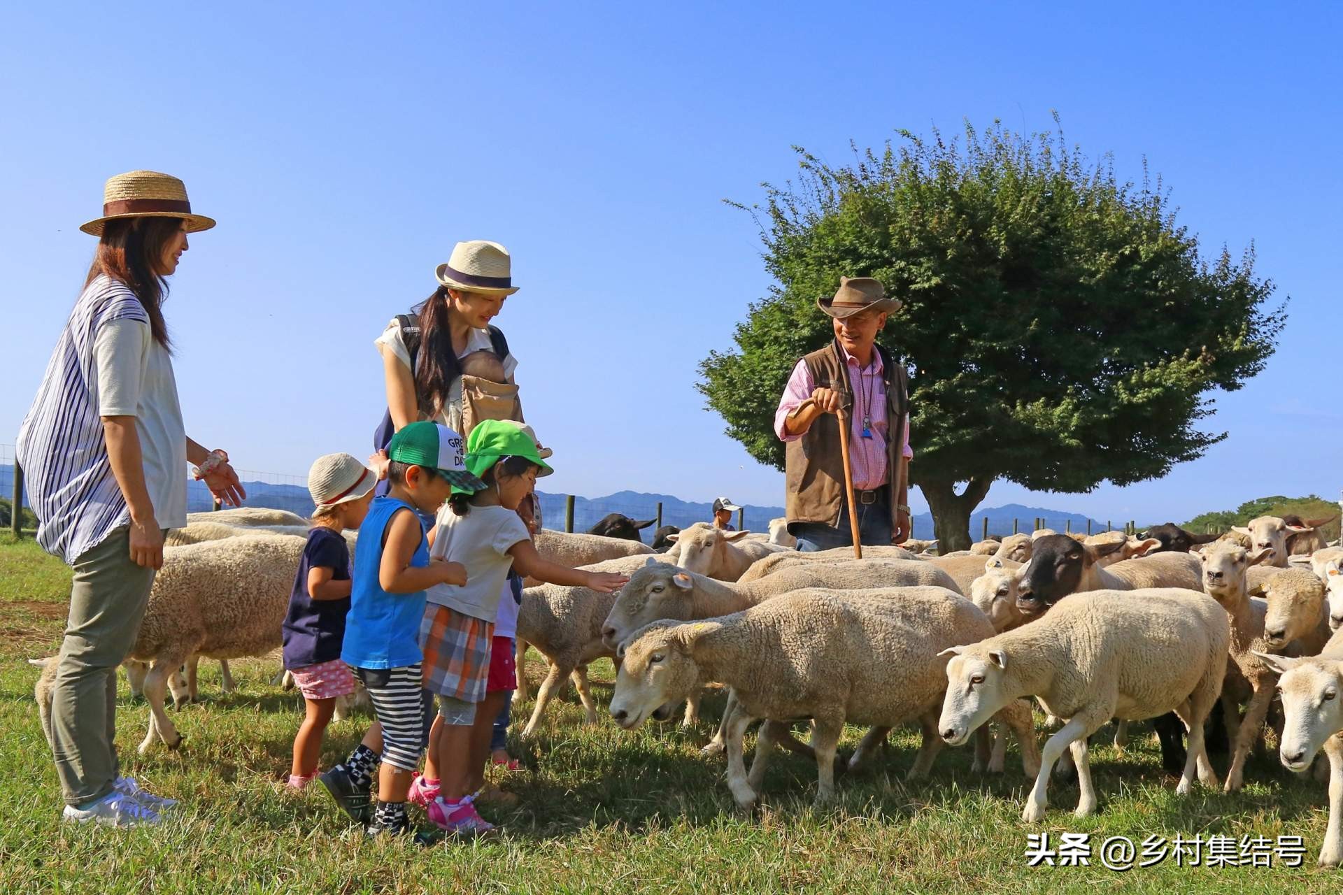 日本亲子农场主题乐园,日本最火亲子牧场