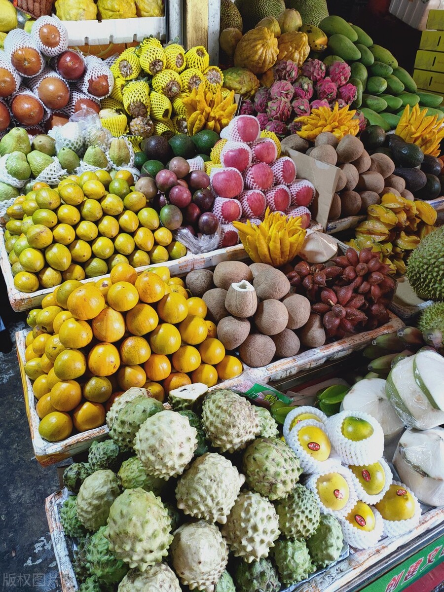 西双版纳避寒避暑的雨林仙境,西双版纳避寒度假