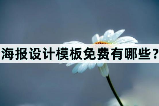 海报设计模板免费网站有哪些,各种海报设计模板软件