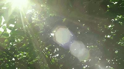 一个32岁的女人的婚姻自述,一个已婚女人对婚姻的自述