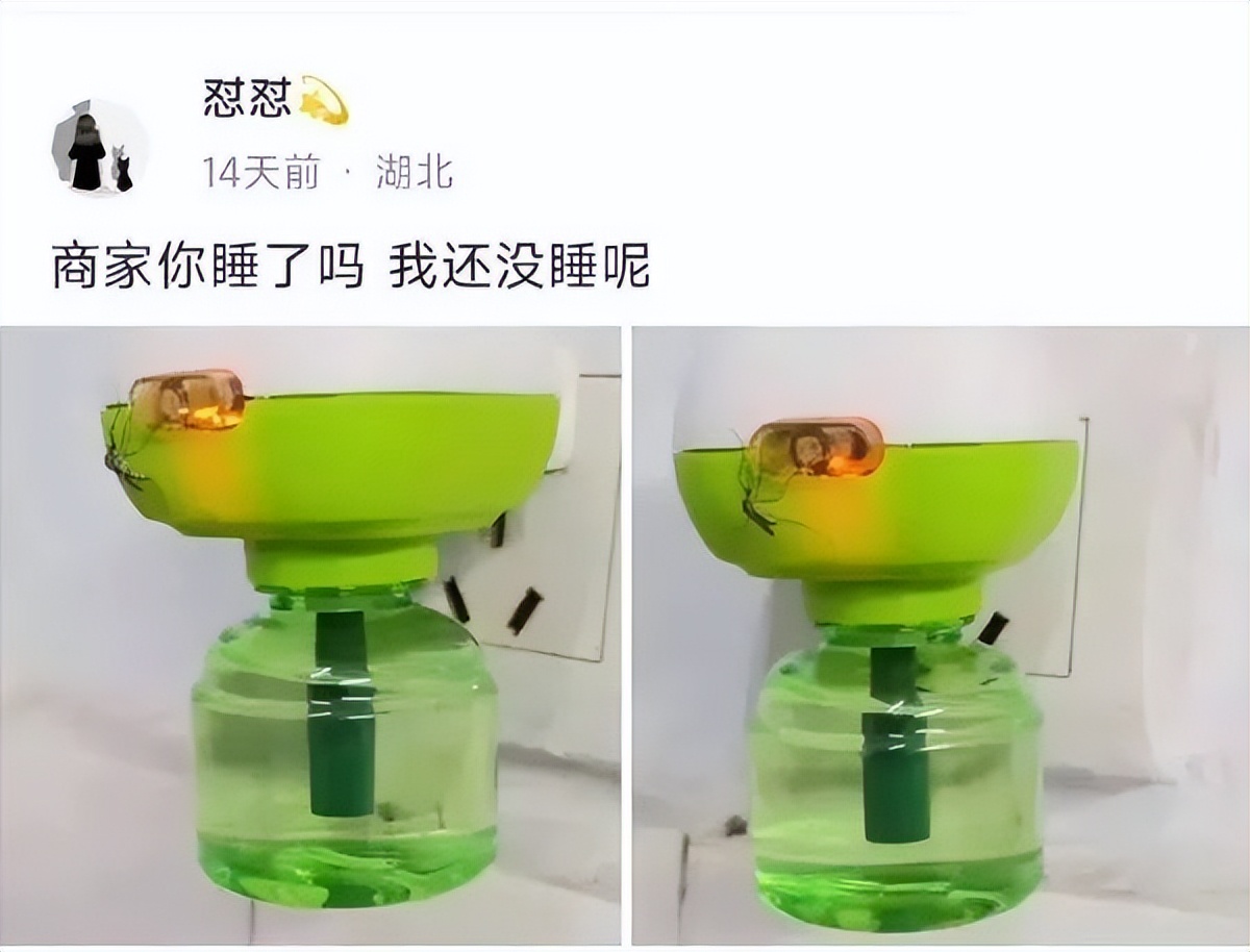 快乐源泉333,快乐源泉新玩具