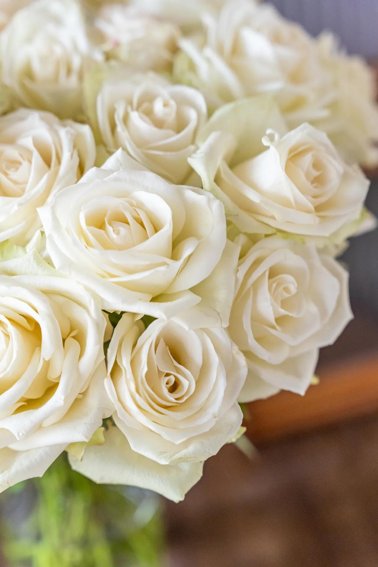 浪漫玫瑰爱情,爱情花朵红玫瑰