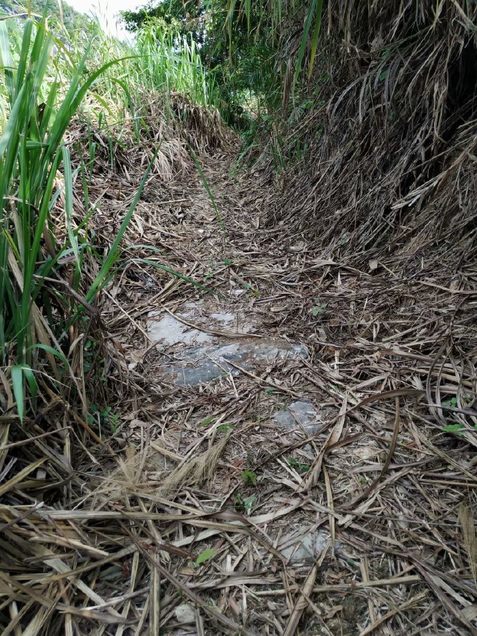 郴乐古道之水头江宜乐古道--广东省乐昌市庆云镇