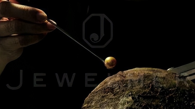 南洋金珠属于珍珠什么级别,鉴定书南洋金珠是不是海水珍珠