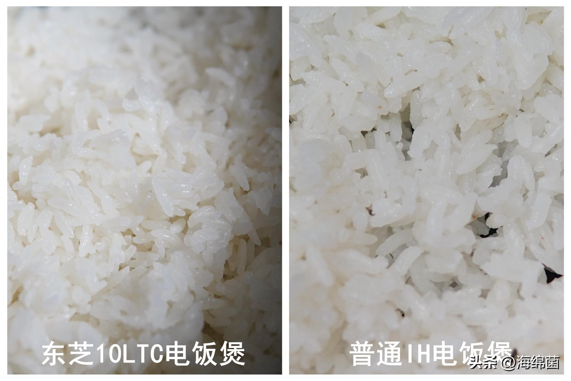 灵魂米饭,灵魂电饭煲