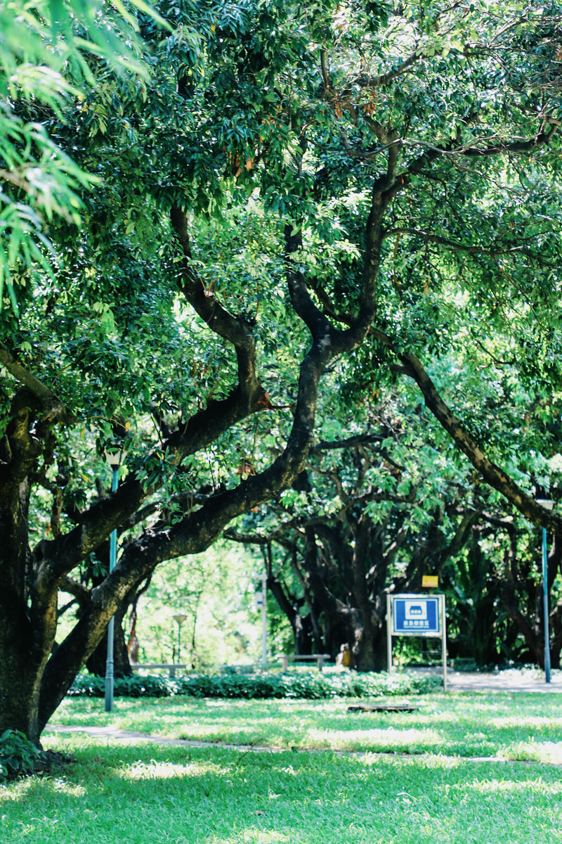 深圳市蛇口攻略,深圳海岛蛇口