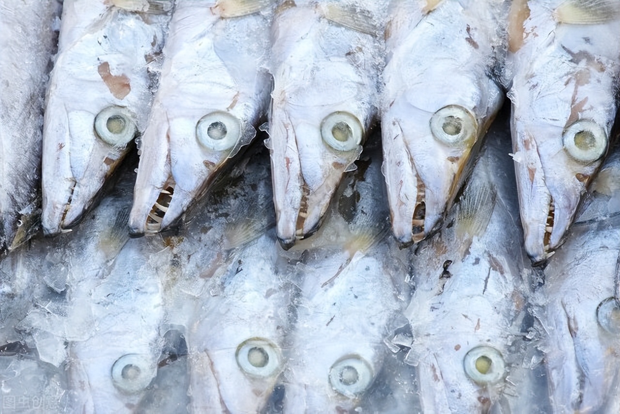 进口韩国冻带鱼会有哪些问题？
