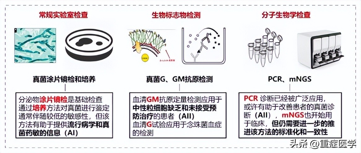 施毅最新讲座视频,施毅医生怎么样