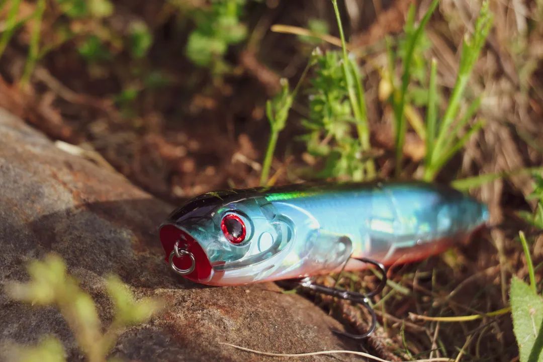 新手学钓鱼应该用什么鱼饵,想学钓鱼如何入门