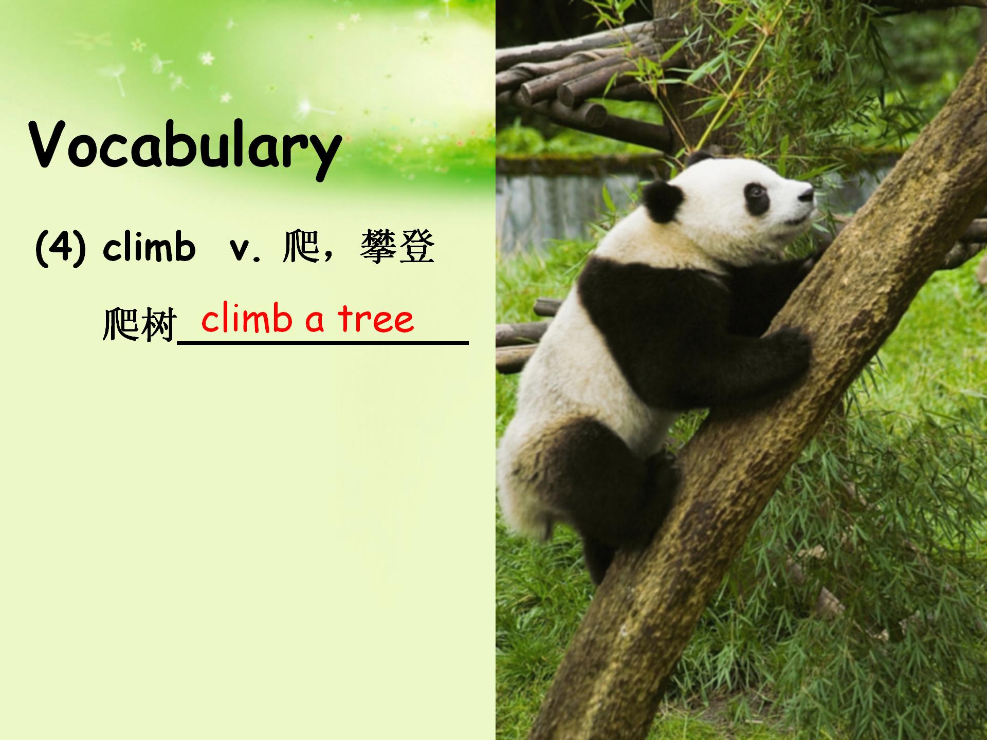 新概念英语ppt,新概念英语四第39课ppt