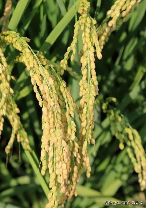 北京市的世界文化遗产有哪些,首批农业文化遗产