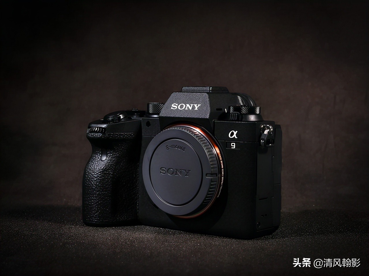 拍鸟买尼康z6还是z7,索尼a92代拍鸟怎么样