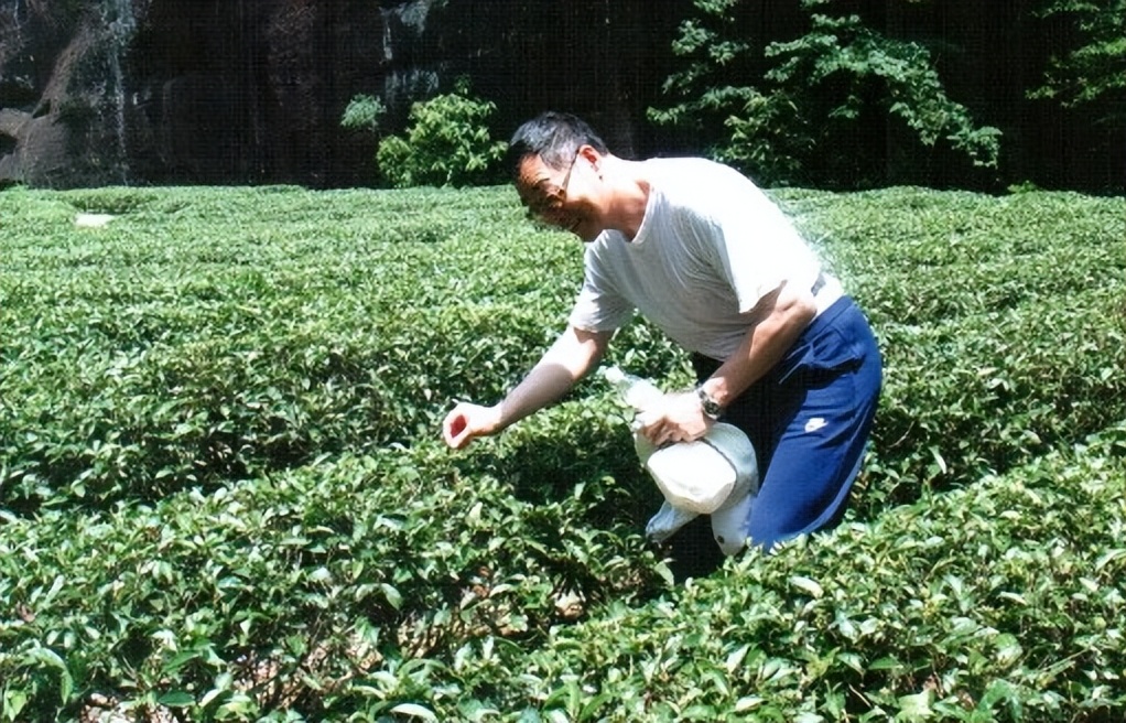石宝珍最近的消息,石宝珍资料
