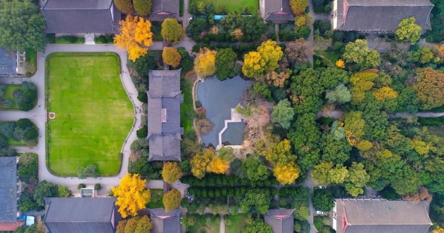 南京大学科技成果转化,cart细胞疗法治疗肿瘤的最新进展