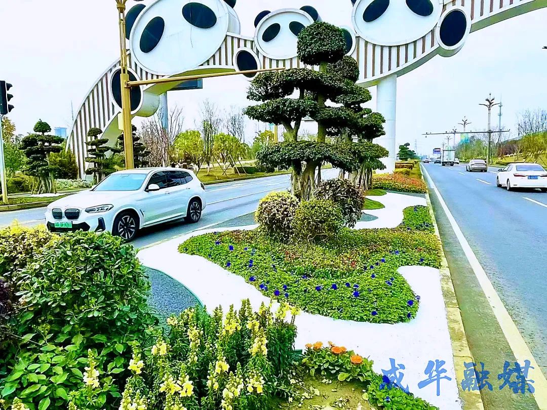 这套“运动装”，爱了！|成华融媒