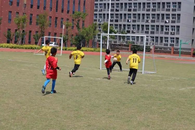 绿茵点燃梦想足球彰显青春,足球点燃梦想激情挥洒青春