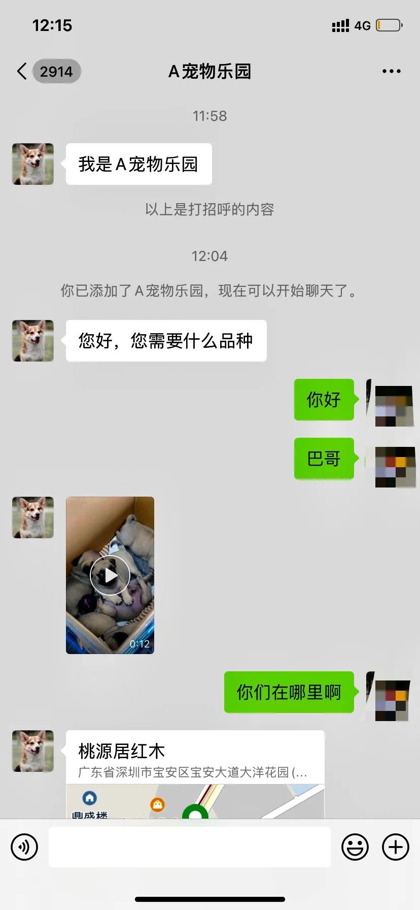 闲鱼买狗要注意什么,闲鱼上买狗狗有保障吗