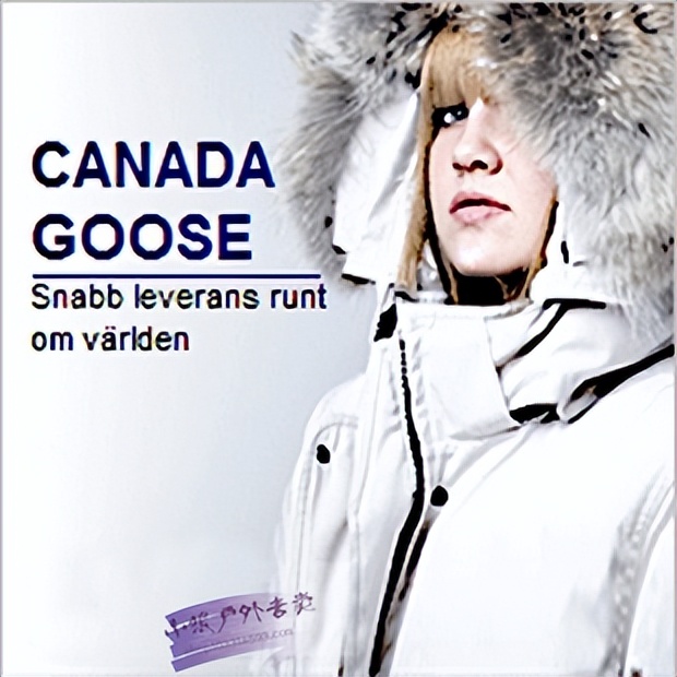 羽绒服国际品牌加拿大鹅,羽绒服界的爱马仕是什么