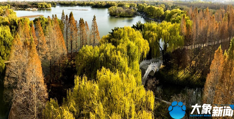 行走河南读懂中国畅游洛阳,行走河南读懂中国洛阳考古