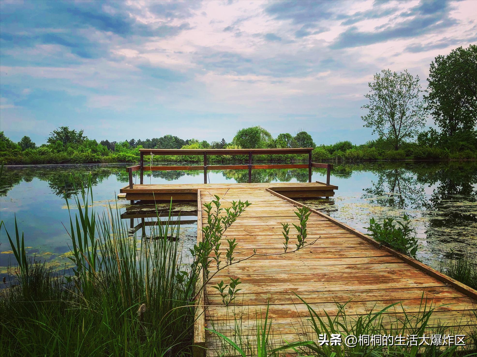 合肥出发自驾一日游路线,合肥巢湖一日游最佳路线