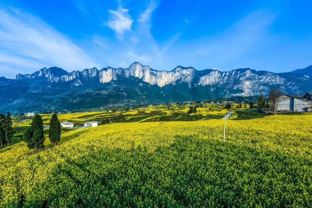 免票最新信息,半价免票规则