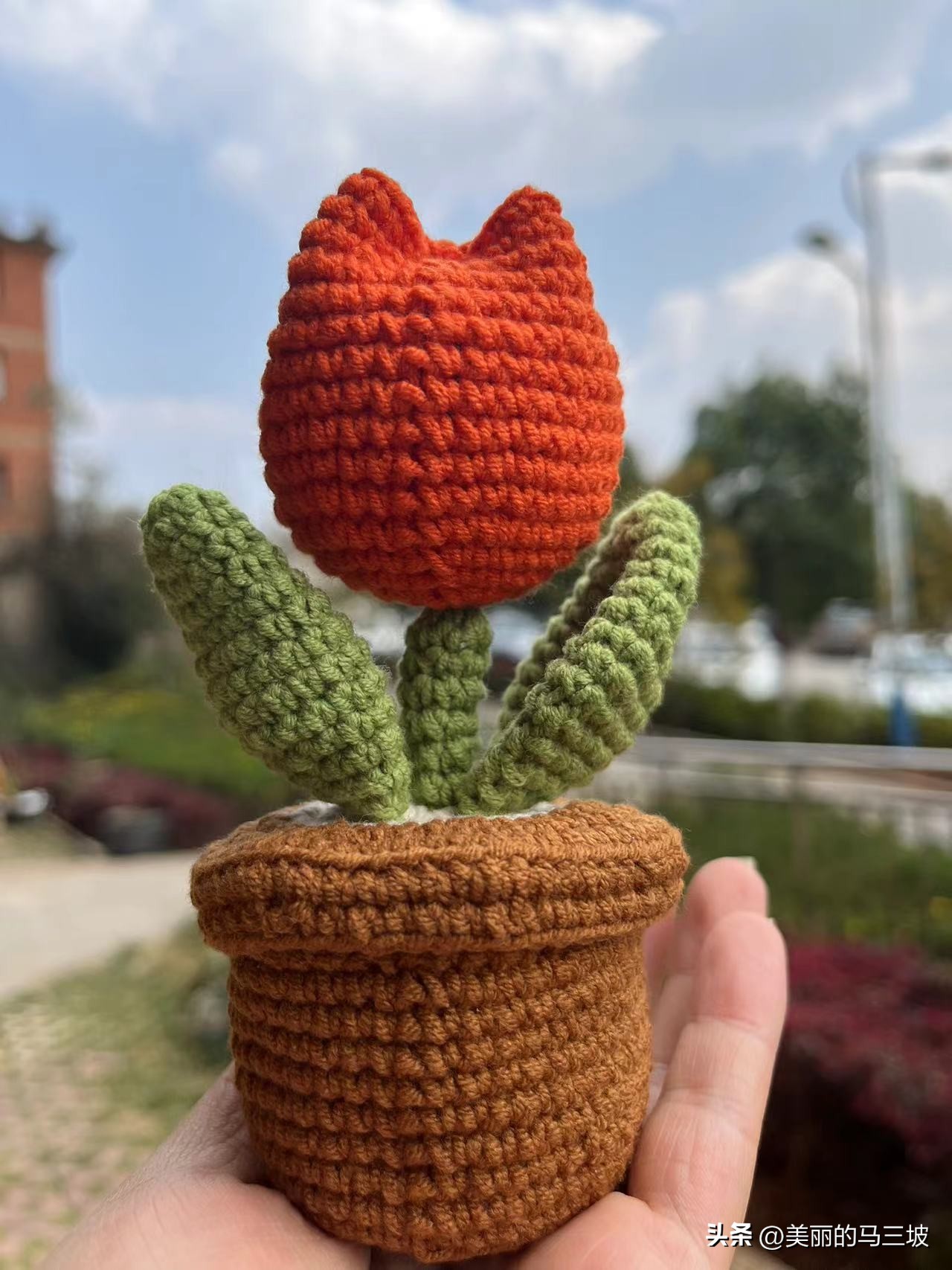 郁金香花朵收纳盒编织教程,郁金香的盆栽的钩织教程