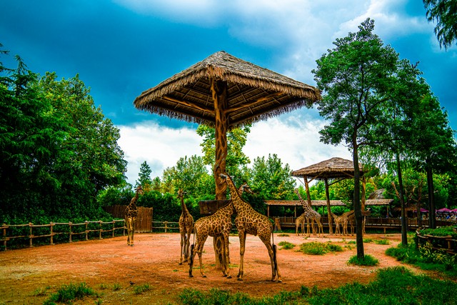 上海旅游必去十大景点,上海古镇十大必去景点
