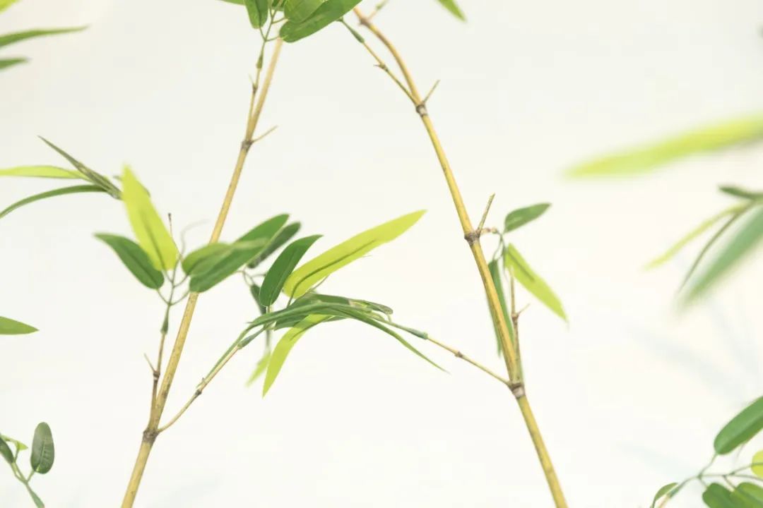 苏轼清丽柔美诗句,苏轼最婉约的一首暮春词