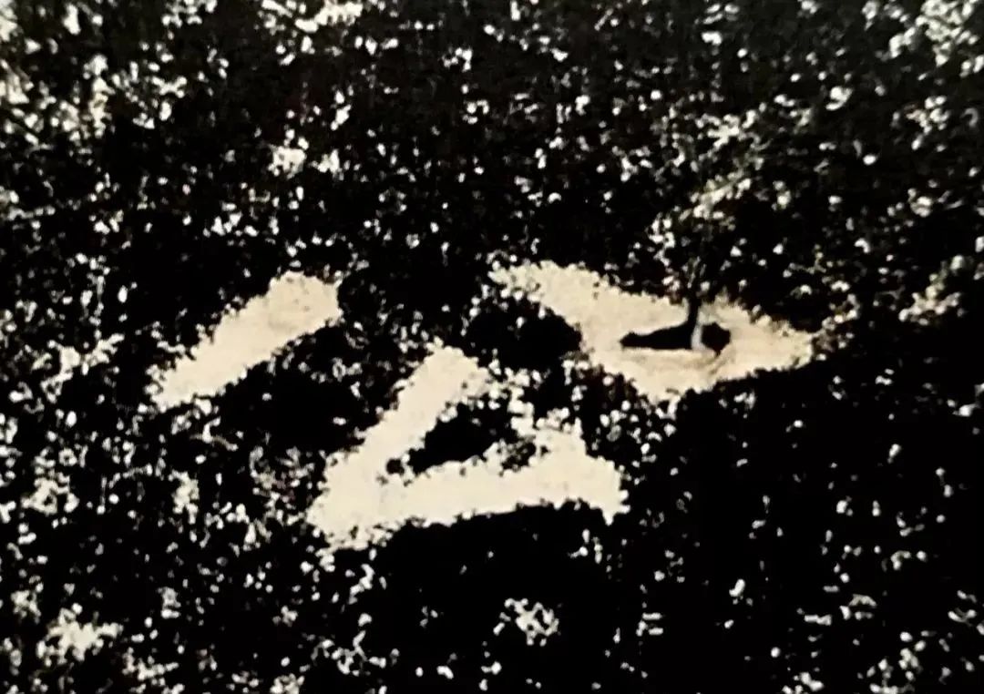 御射碑,什么是御碑