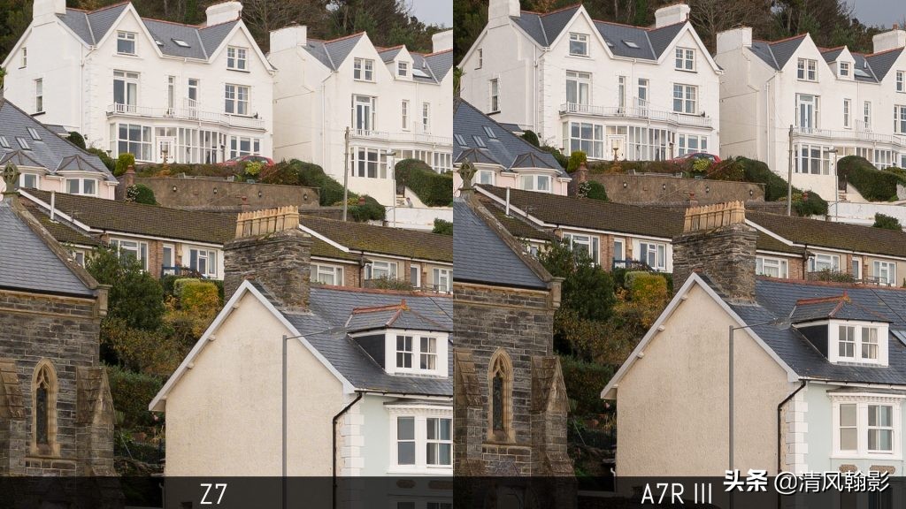 拍鸟用尼康d6好还是z7ii好,拍鸟买r6还是r5