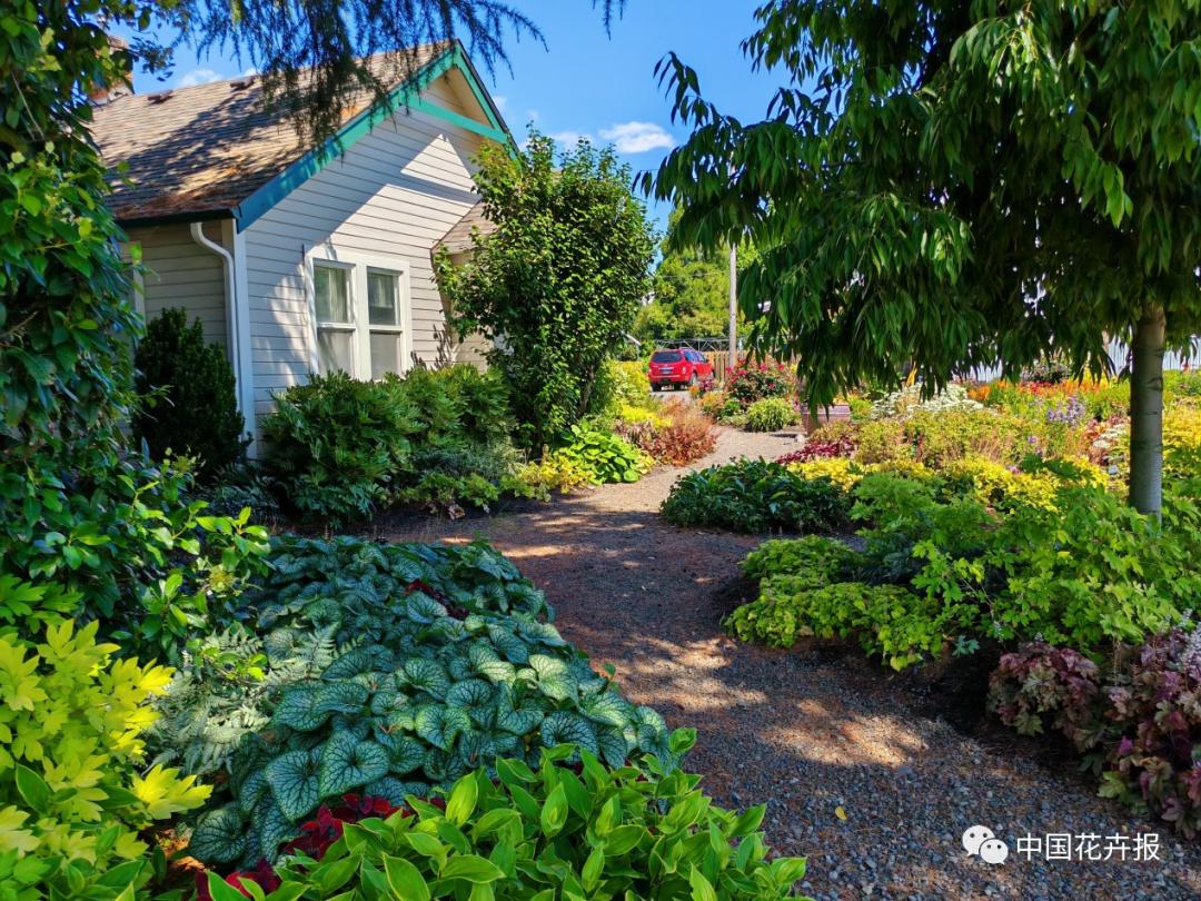 宿根花卉栽培,宿根花卉的栽培管理