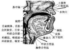 脱三针以脉复汗止、肢暖、清醒为度，主治中风脱证