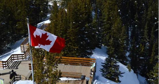 多久可以拿到枫叶卡,拿到枫叶卡后在中国有啥规定