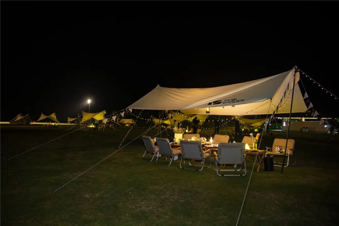 珠海长隆竟然开露营！海边下午茶、篝火音乐会、还能撸火烈鸟