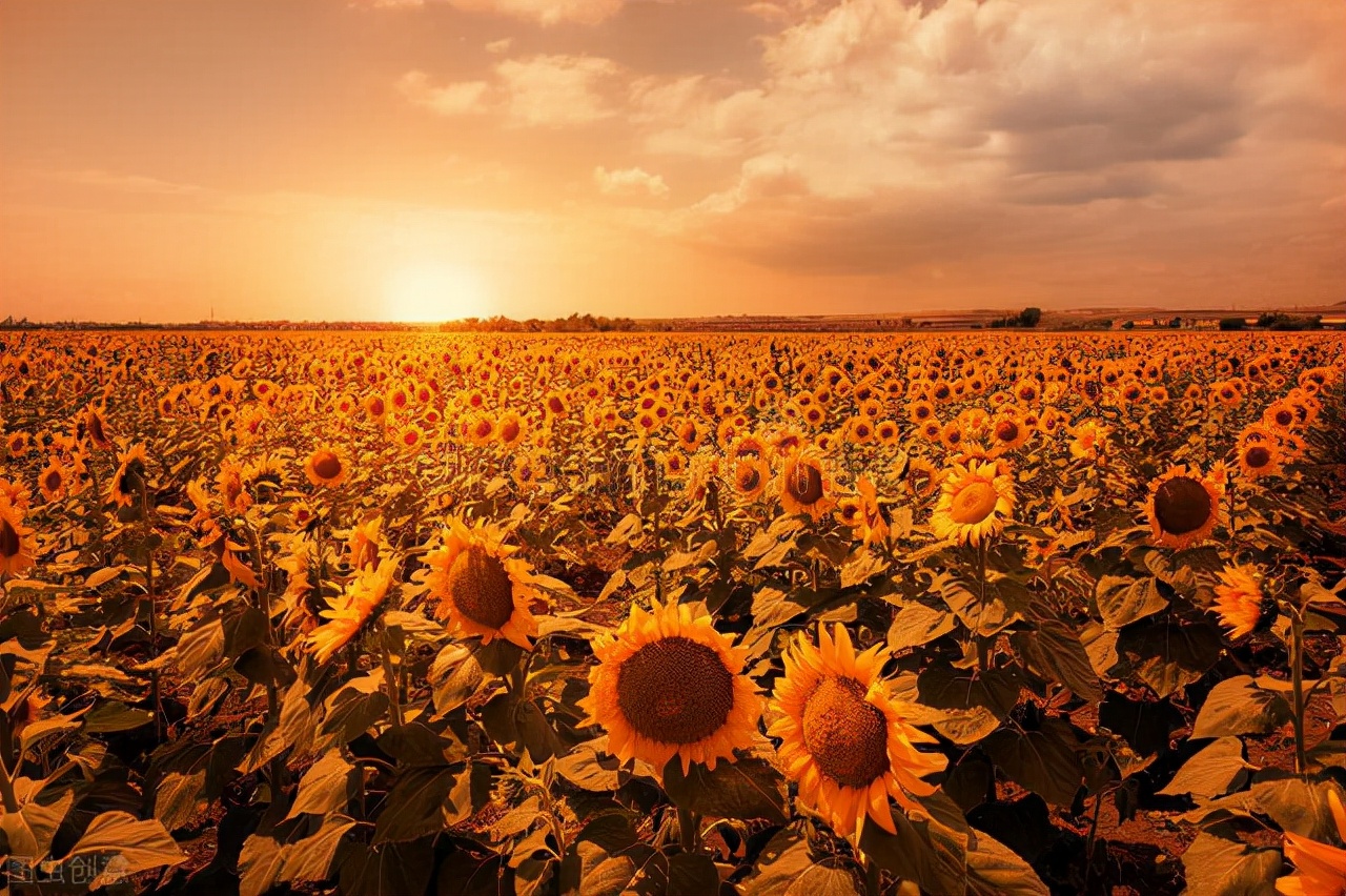 什么是德不配位会有哪些体现,德不配位的含义是什么意思