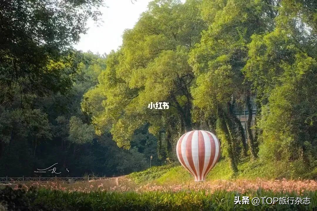 长沙秋景漂亮的地方,长沙周边秋景