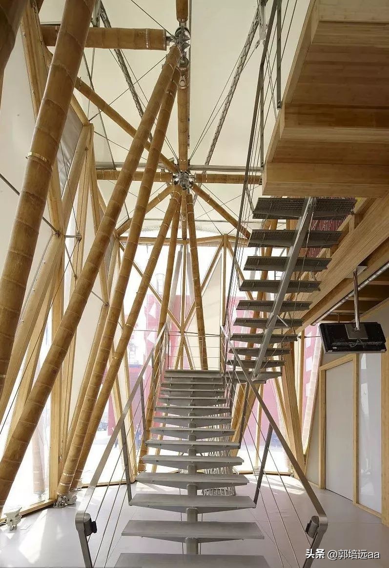 钢、竹、藤在混凝土中作钢筋的比较研究：拉伸和弯曲特性