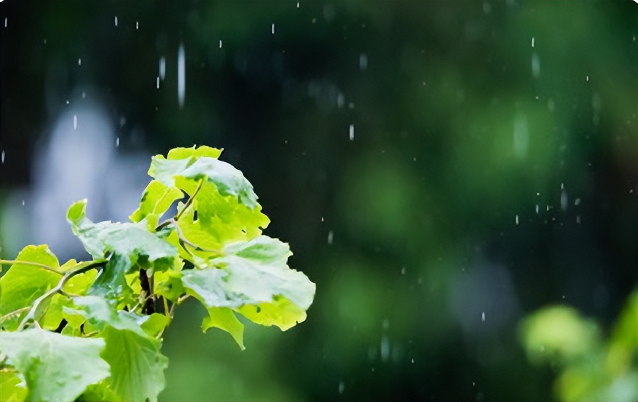 脾胃又热又寒怎么调理,一到冬天脾胃虚寒是怎么回事