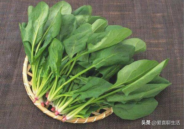 孩子春季长高吃哪种钙片比较好,春季长高黄金期孩子蹿个儿有妙招